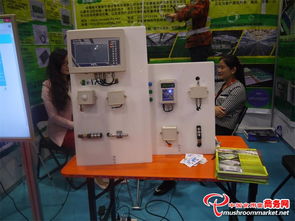 科技賦能 味蕾綻放——3000多項(xiàng)食用菌產(chǎn)品技術(shù)亮相青島會展，計(jì)量技術(shù)服務(wù)助力產(chǎn)業(yè)升級